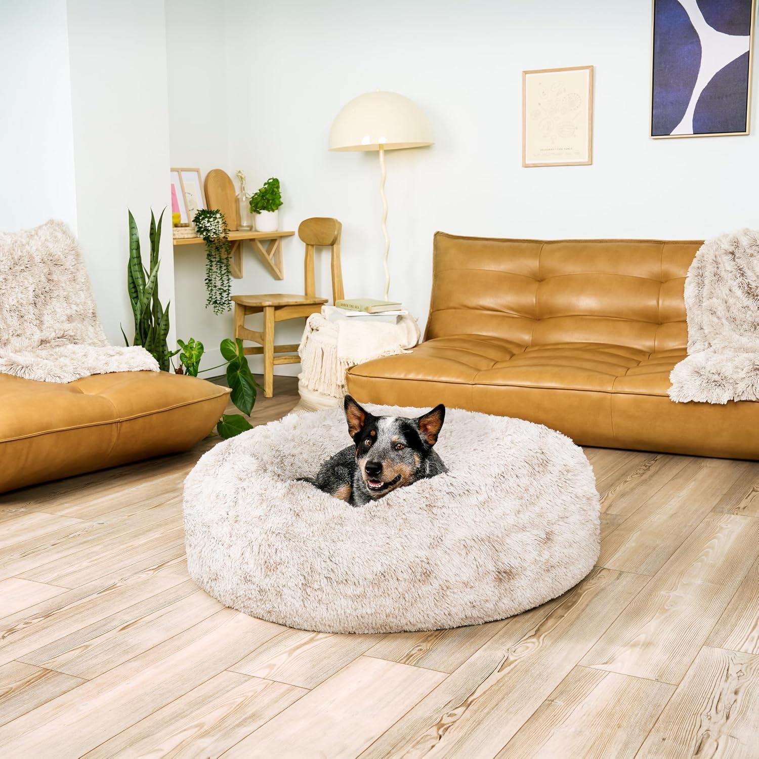 image:imageFurHaven 23 Calming Donut Dog Bed for Small Dogs amp Cats Round Plush Donut Design with Soft Filling for Snuggling Comfort Removable Washable Cover Small Shaggy Faux Fur Mist GrayDriftwood
