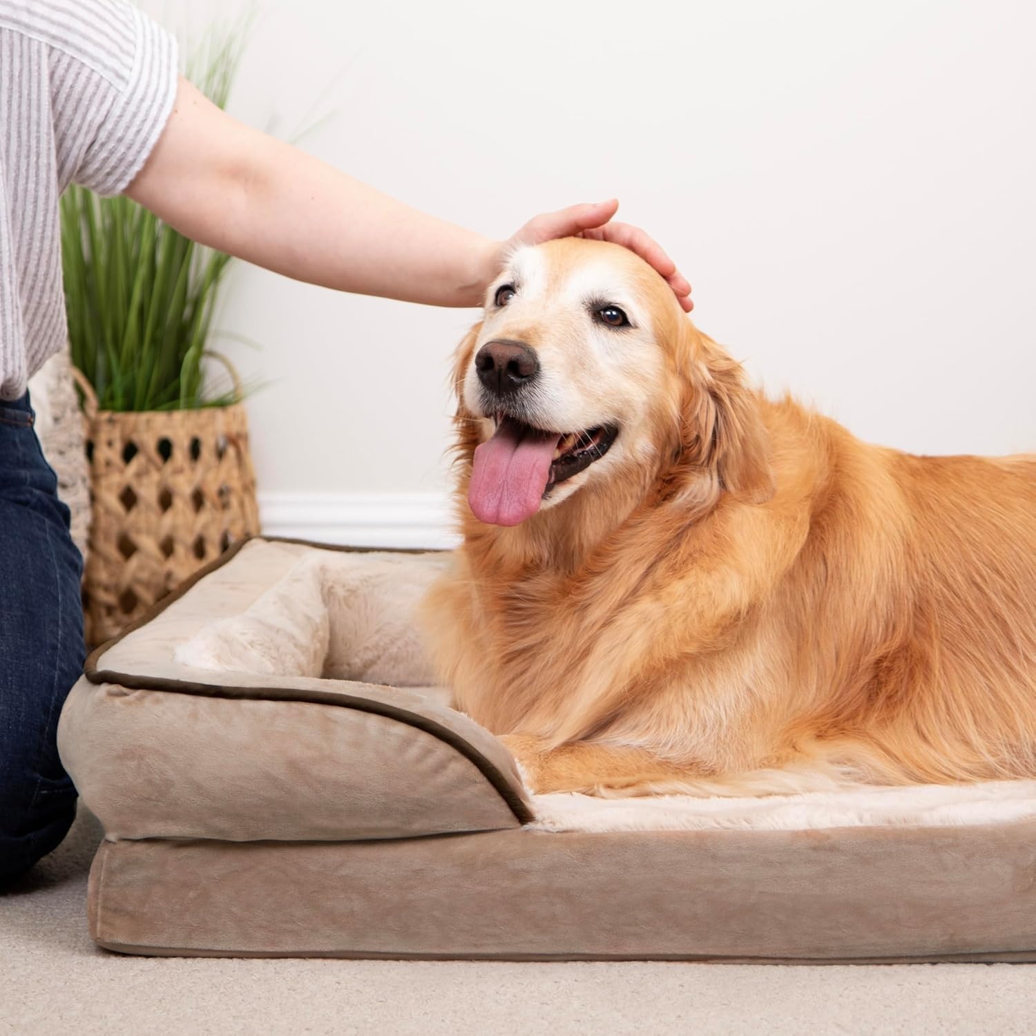 image:imageFurHaven Cooling Gel Dog Bed for Large Dogs Perfect Comfort Sofa Bed Cool GelTop Foam amp Solid Orthopedic Foam Base for Joint Support Removable Washable Cover Jumbo XL Plush amp Velvet BrownstoneBrownstone