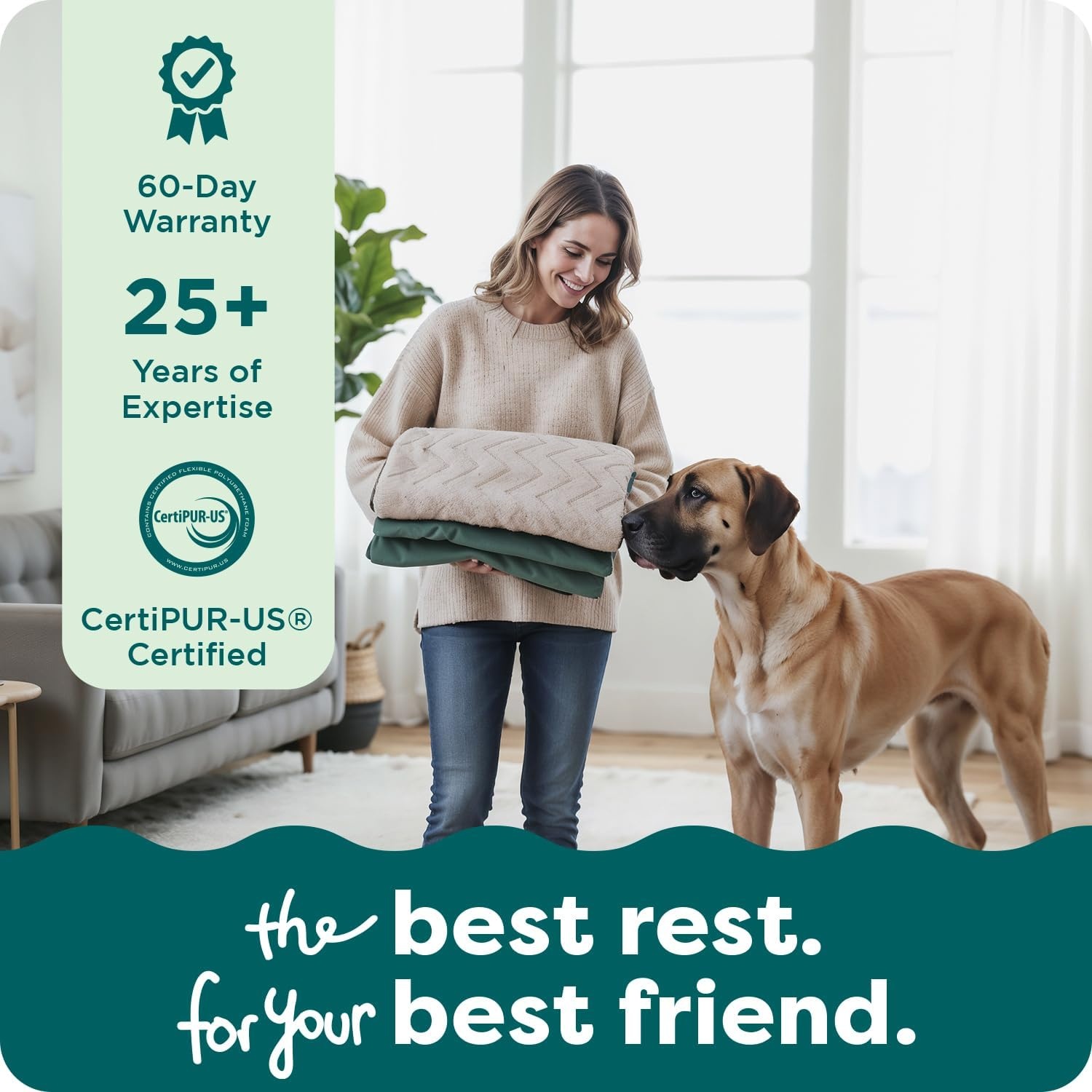 image:imageFurHaven Dog Bed Cover Replacement SofaStyle Design with Soft Breathable Fabric for Cozy Comfort Machine Washable Jumbo Plus XXL Plush amp Velvet Waves BrownstoneCeladon Green