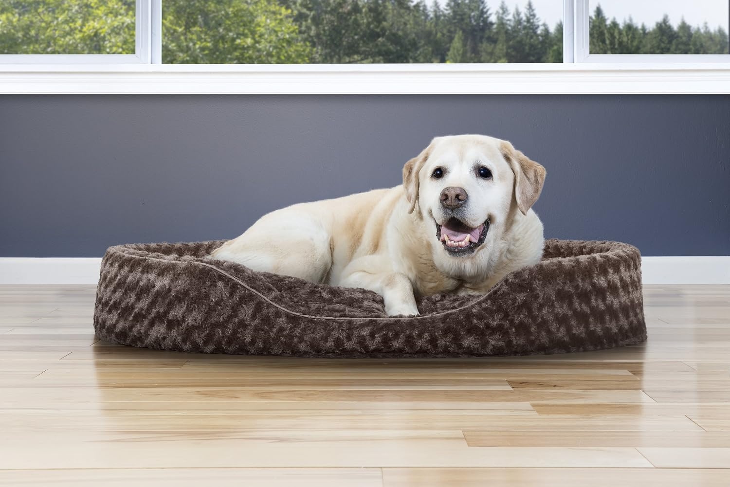 image:imageFurHaven Dog Bed for Small Dogs Oval Lounger with Soft Pillow Cushion Insert for Cozy Comfort Removable Washable Cover Small Faux Fur amp Suede GrayPlush Chocolate