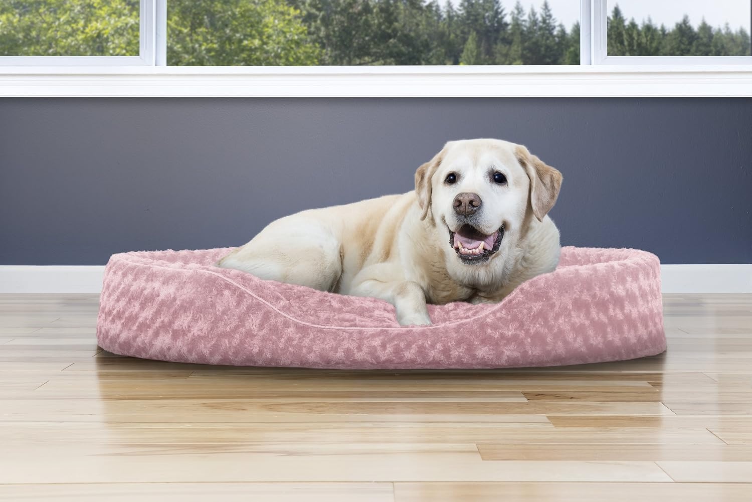 image:imageFurHaven Dog Bed for Small Dogs Oval Lounger with Soft Pillow Cushion Insert for Cozy Comfort Removable Washable Cover Small Faux Fur amp Suede GrayPlush Pink