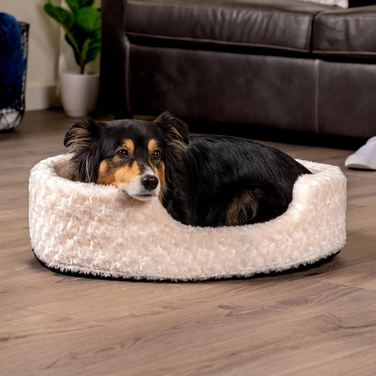 image:imageFurHaven Dog Bed for Small Dogs Oval Lounger with Soft Pillow Cushion Insert for Cozy Comfort Removable Washable Cover Small Faux Fur amp Suede GrayPlush Cream