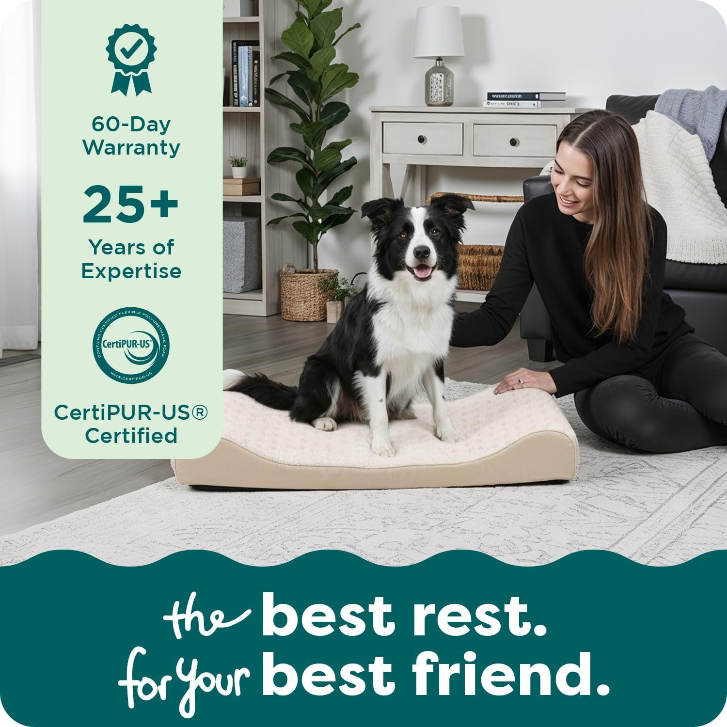 image:imageFurHaven Orthopedic Dog Bed for LargeMedium Dogs Luxe Lounger Contour Mattress with MedicalGrade Solid Orthopedic Foam for Joint Support Removable Washable Cover Large Plush Suede Cream