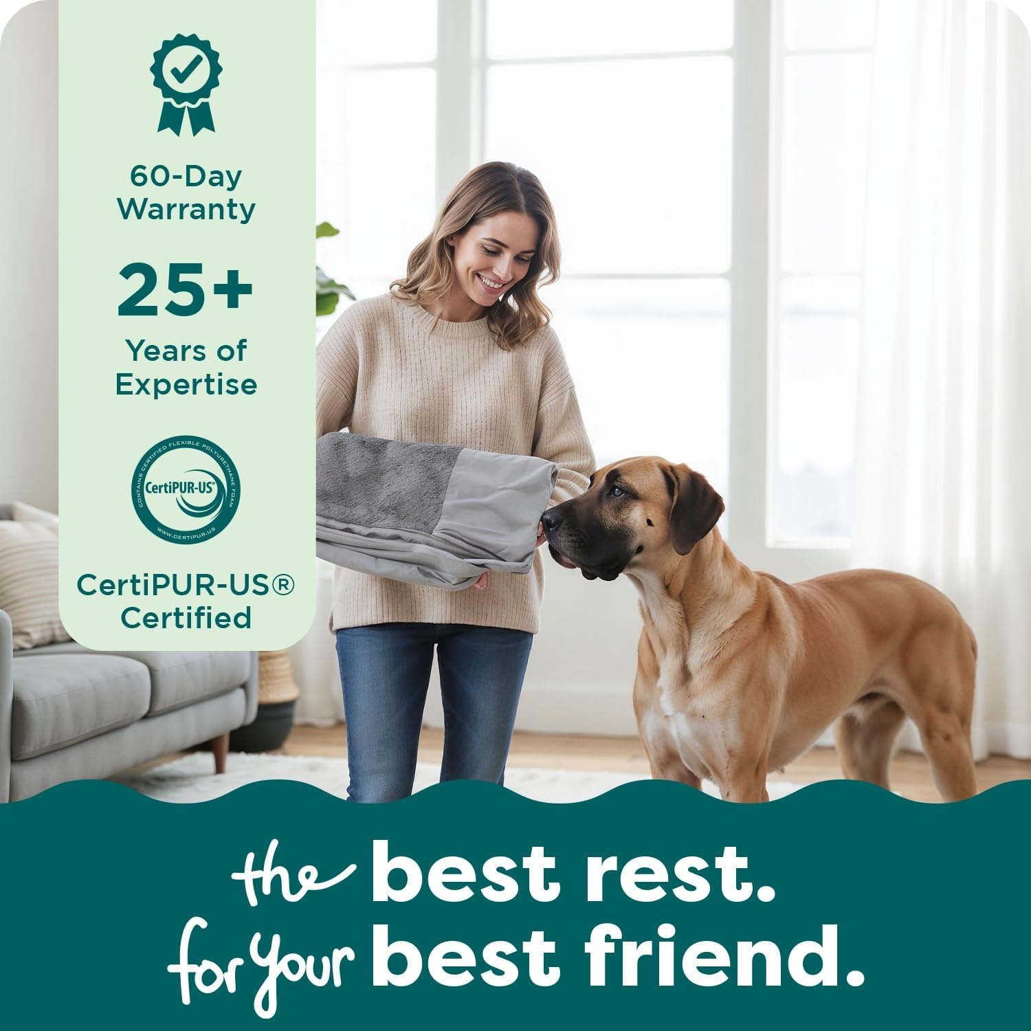 image:imageFurHaven Replacement Dog Bed Cover Classic Sofa Design with UltraPlush Sleep Surface for Protecting Pet Mattresses Zippered amp Machine Washable Large Plush amp Suede Deep Pool