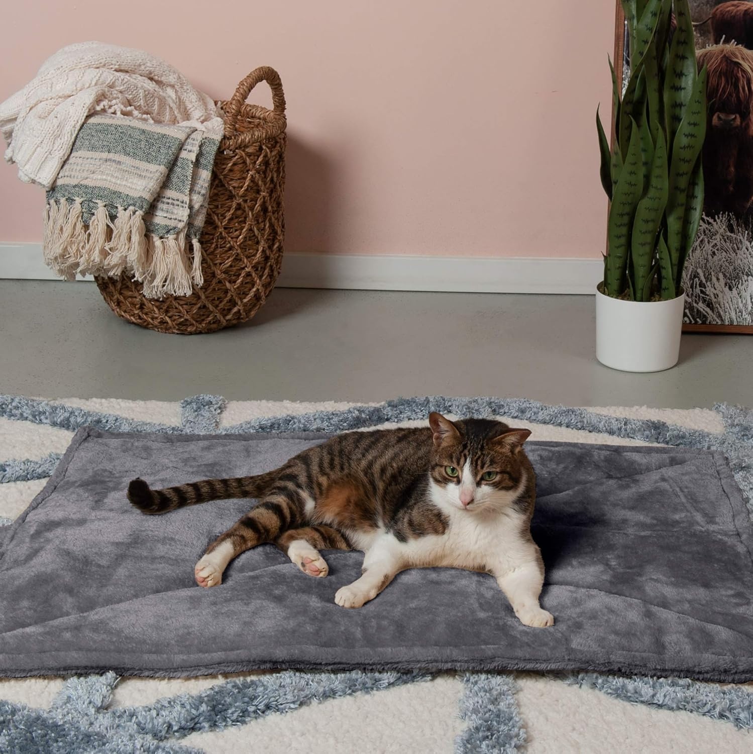 image:imageFurHaven ThermaNAP Faux Fur SelfWarming Mat Brown Leopard LargeGray