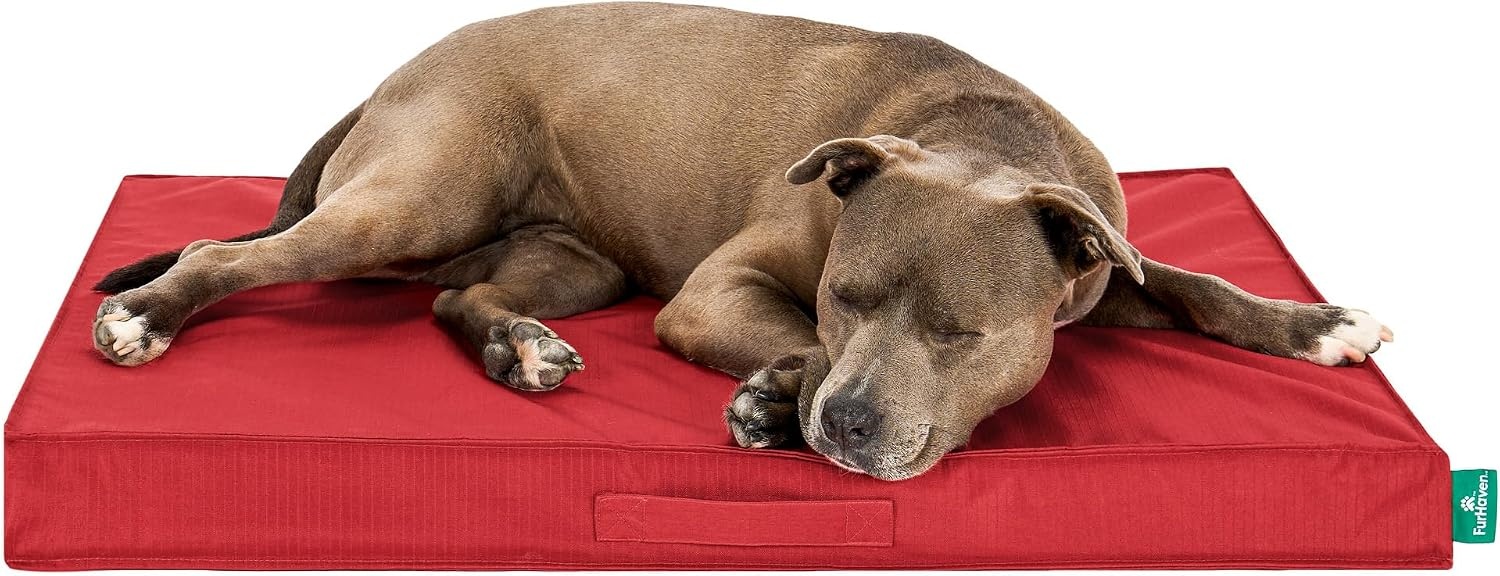 image:imageFurHaven WaterResistant Orthopedic Dog Bed for Large Dogs Oxford Polycanvas Mattress with Orthopedic Solid Slab Foam for Joint Support Removable Washable Cover Jumbo XL Stone GrayRed