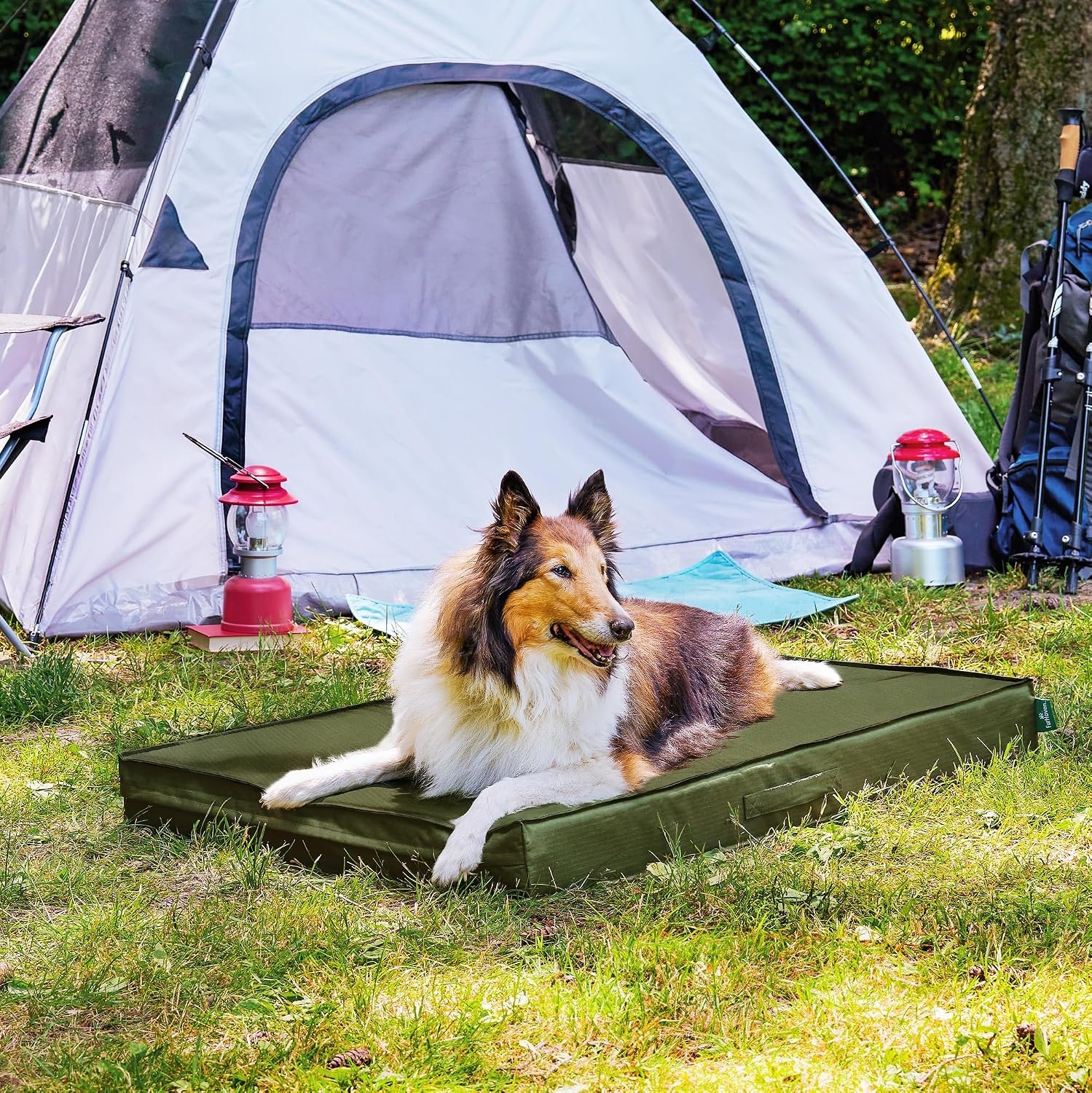 image:imageFurHaven WaterResistant Orthopedic Dog Bed for Large Dogs Oxford Polycanvas Mattress with Orthopedic Solid Slab Foam for Joint Support Removable Washable Cover Jumbo XL Stone GrayGreen
