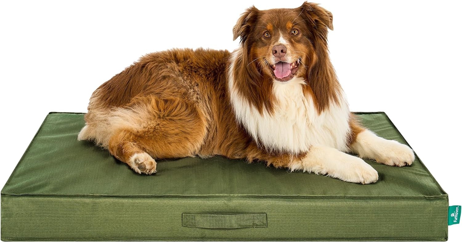 image:imageFurHaven WaterResistant Orthopedic Dog Bed for Large Dogs Oxford Polycanvas Mattress with Orthopedic Solid Slab Foam for Joint Support Removable Washable Cover Jumbo XL Stone GrayGreen