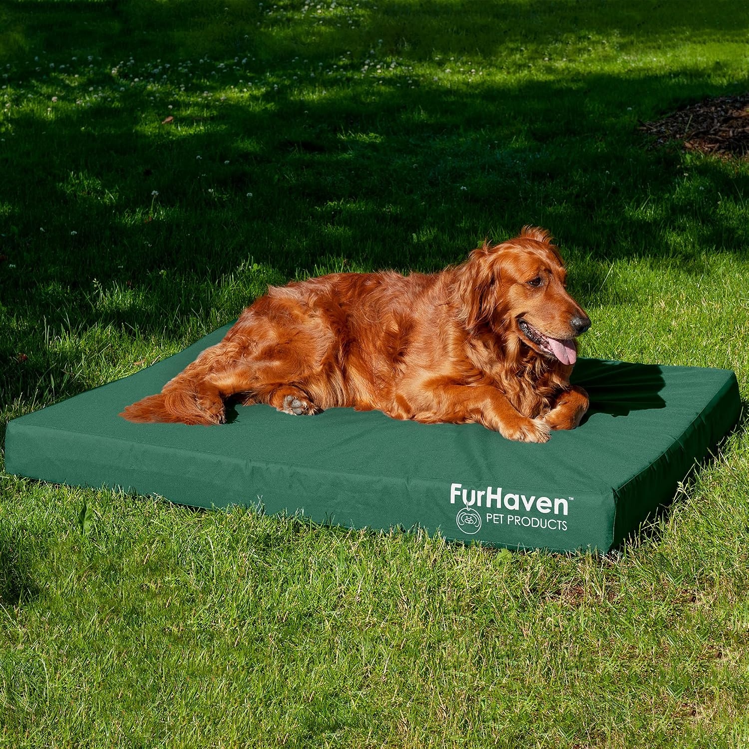 image:imageFurHaven WaterResistant Orthopedic Dog Bed for Large Dogs Oxford Polycanvas Mattress with Orthopedic Solid Slab Foam for Joint Support Removable Washable Cover Jumbo XL Stone GrayForest