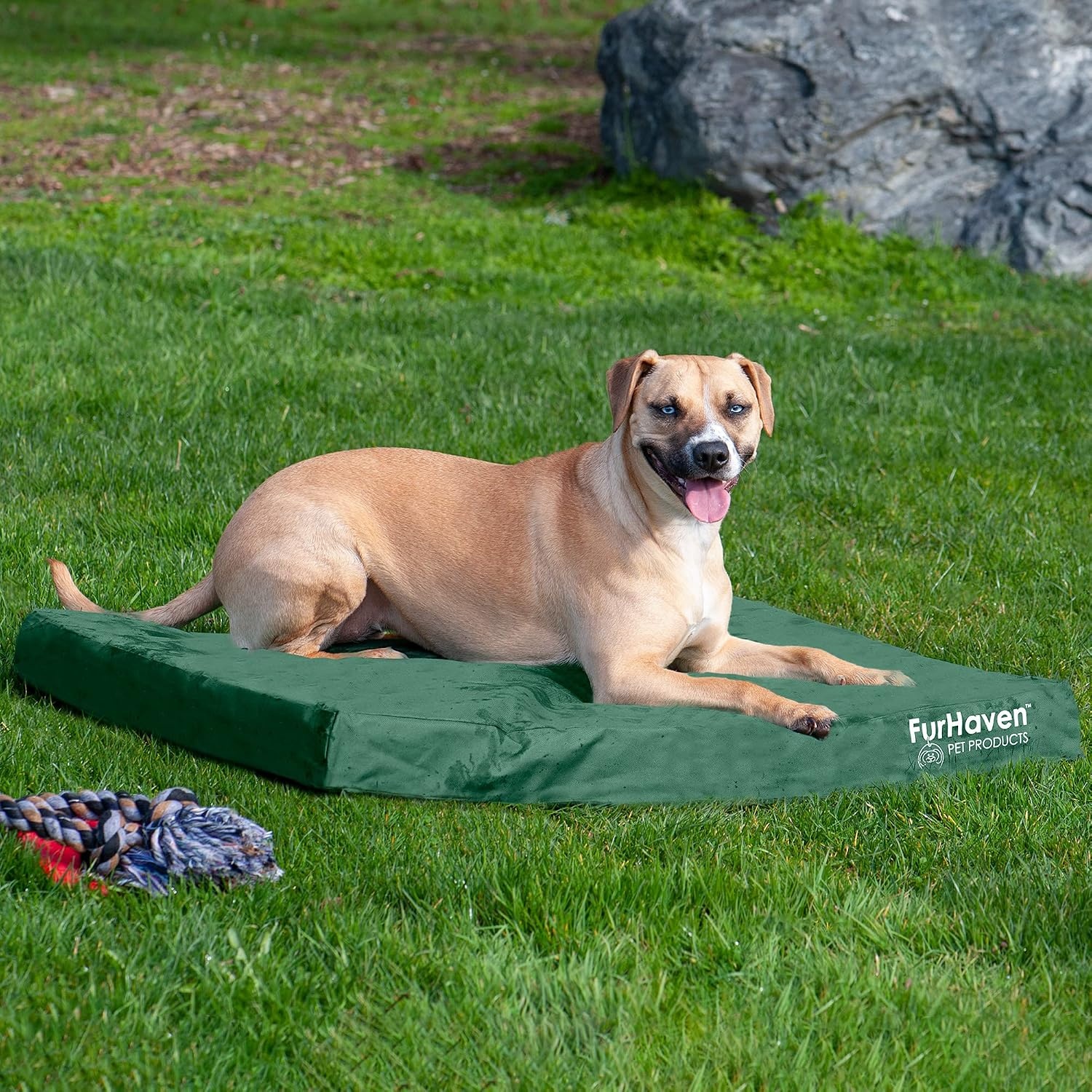 image:imageFurHaven WaterResistant Orthopedic Dog Bed for Large Dogs Oxford Polycanvas Mattress with Orthopedic Solid Slab Foam for Joint Support Removable Washable Cover Jumbo XL Stone GrayForest