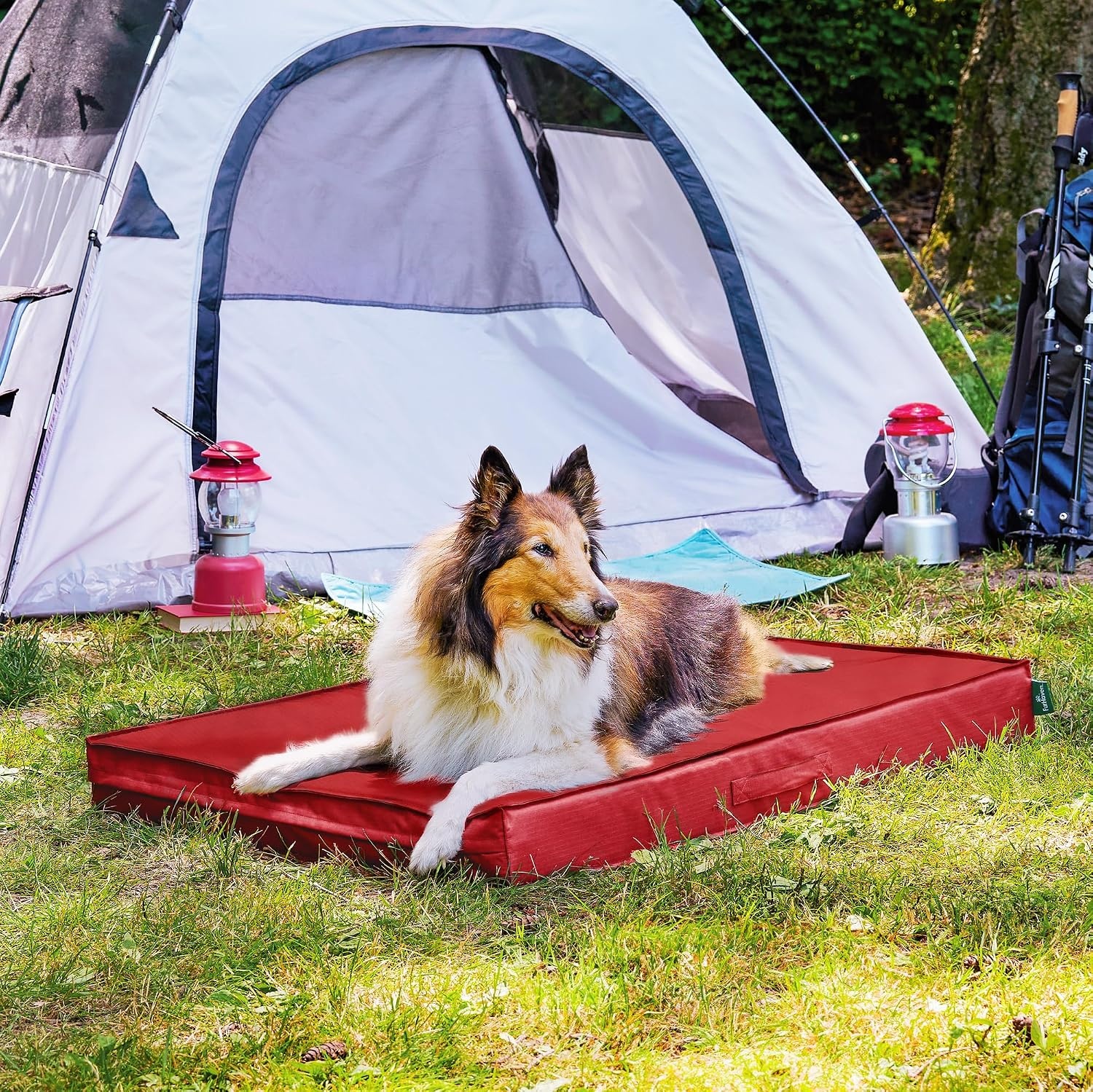 image:imageFurHaven WaterResistant Orthopedic Dog Bed for Large Dogs Oxford Polycanvas Mattress with Orthopedic Solid Slab Foam for Joint Support Removable Washable Cover Jumbo XL Stone GrayRed