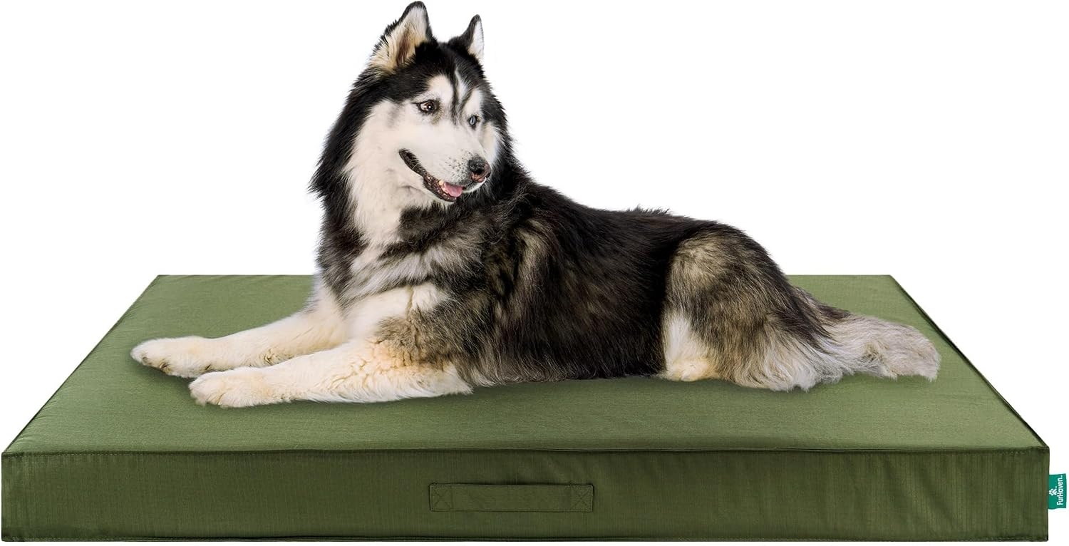 image:imageFurHaven WaterResistant Orthopedic Dog Bed for Large Dogs Oxford Polycanvas Mattress with Orthopedic Solid Slab Foam for Joint Support Removable Washable Cover Jumbo XL Stone GrayGreen
