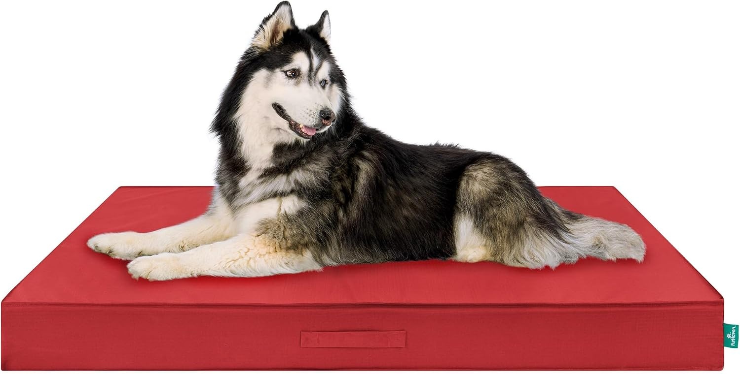 image:imageFurHaven WaterResistant Orthopedic Dog Bed for Large Dogs Oxford Polycanvas Mattress with Orthopedic Solid Slab Foam for Joint Support Removable Washable Cover Jumbo XL Stone GrayRed