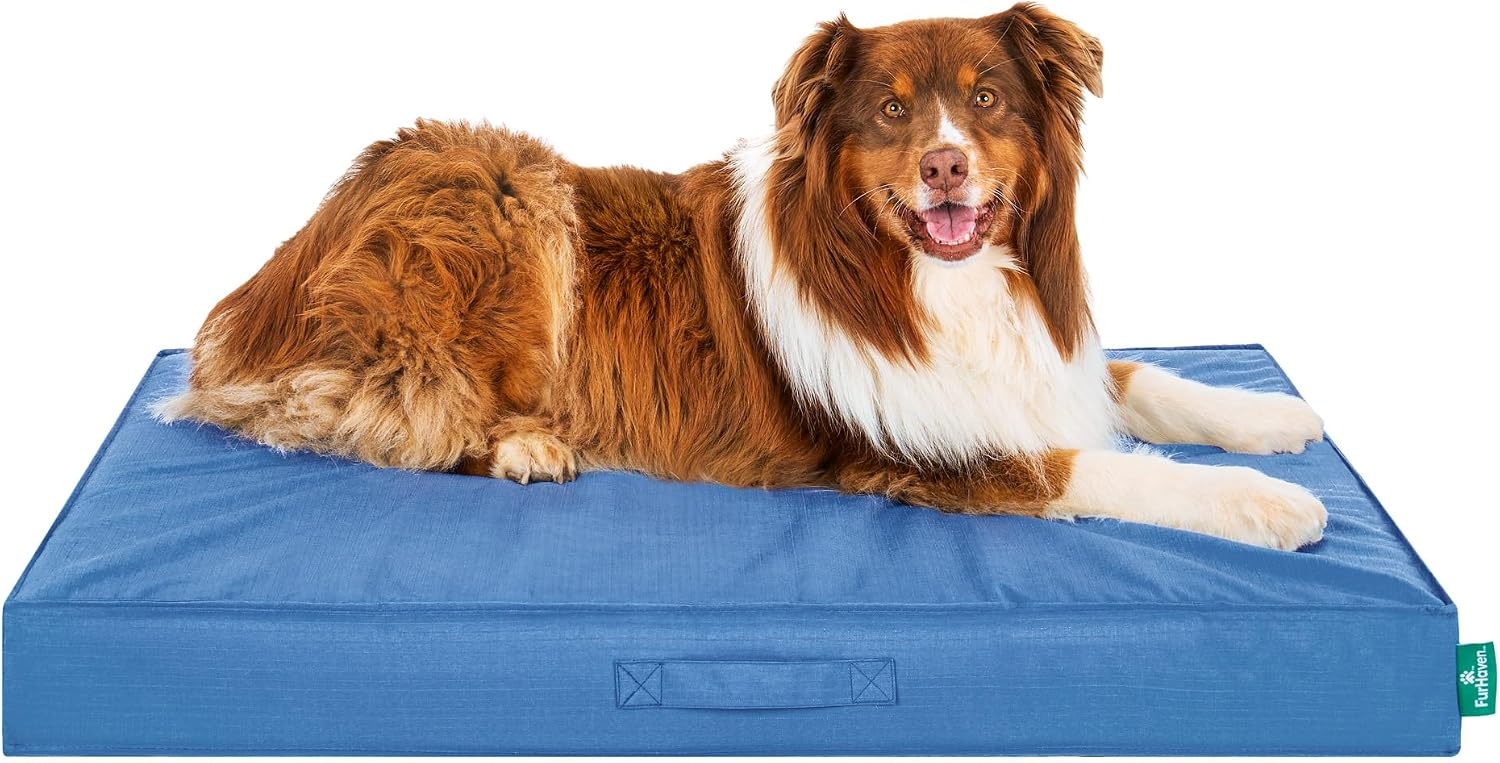 image:imageFurHaven WaterResistant Orthopedic Dog Bed for Large Dogs Oxford Polycanvas Mattress with Orthopedic Solid Slab Foam for Joint Support Removable Washable Cover Jumbo XL Stone GrayBlue