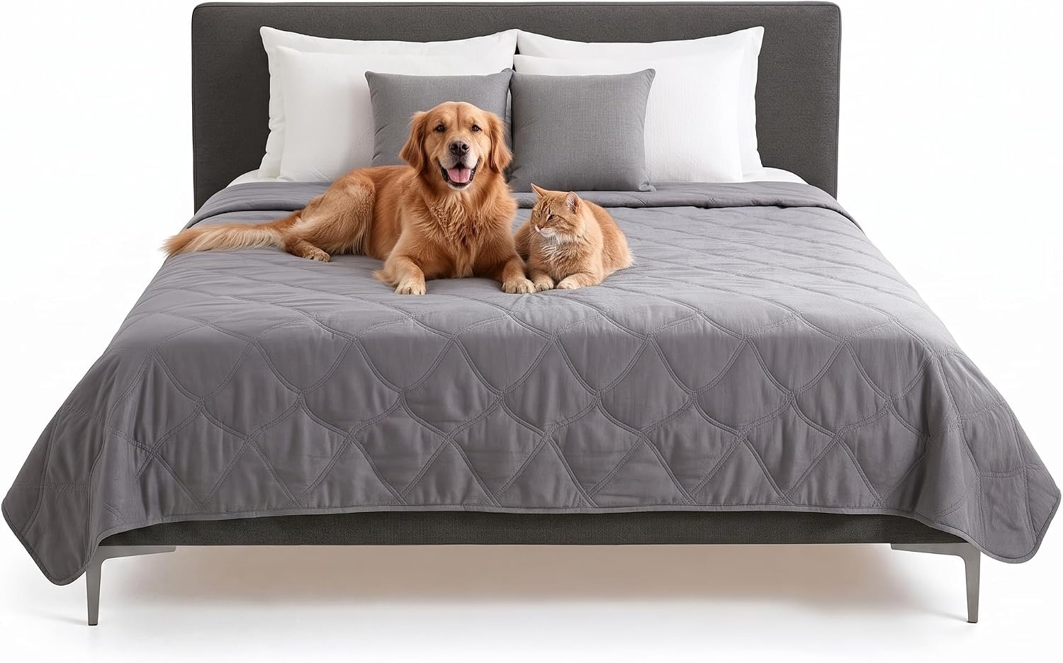 image:imageFurHaven Waterproof Blanket amp Furniture Protector Cover with NonSlip Backing Machine Washable JumboKing Quilted Twill GrayQuilted Gray