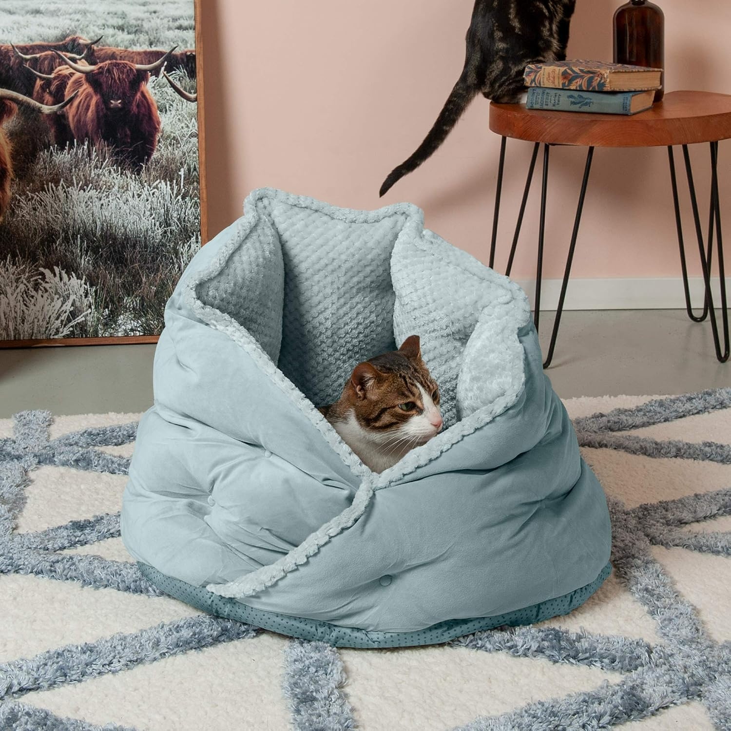 image:imageFurhaven 24 Round Pet Bed for Indoor Cats amp MediumSmall Dogs 100 Washable For Pets Up to 35 lbs Minky Plush amp Velvet Hug Bed Silver Gray 24inchHug Bed Minky Velvet Aquamarine