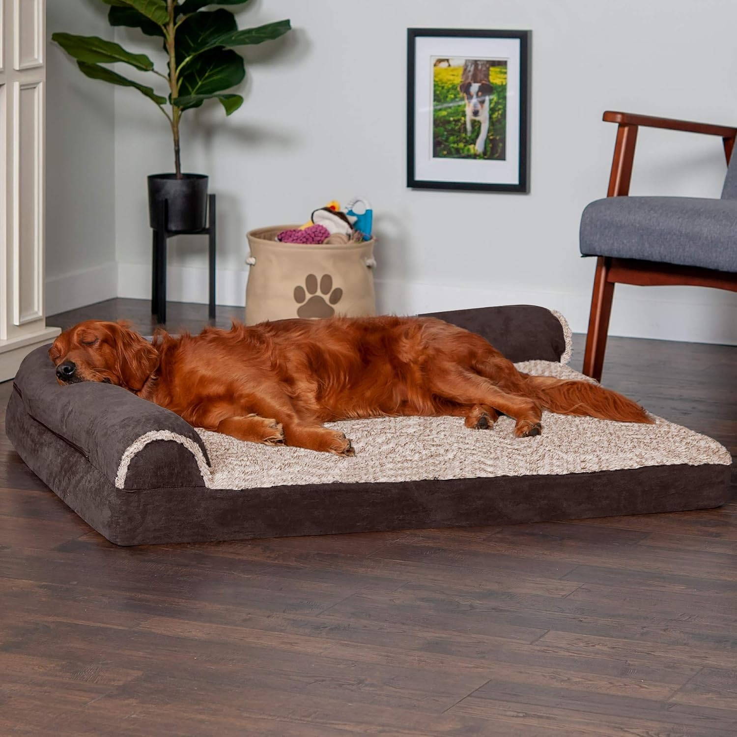 image:imageFurhaven Memory Foam Dog Bed for Large Dogs w Removable Bolsters amp Washable Cover For Dogs Up to 95 lbs TwoTone Plush Faux Fur amp Suede L Shaped Chaise Stone Gray JumboXLPlush Almond Print Blue Almonds