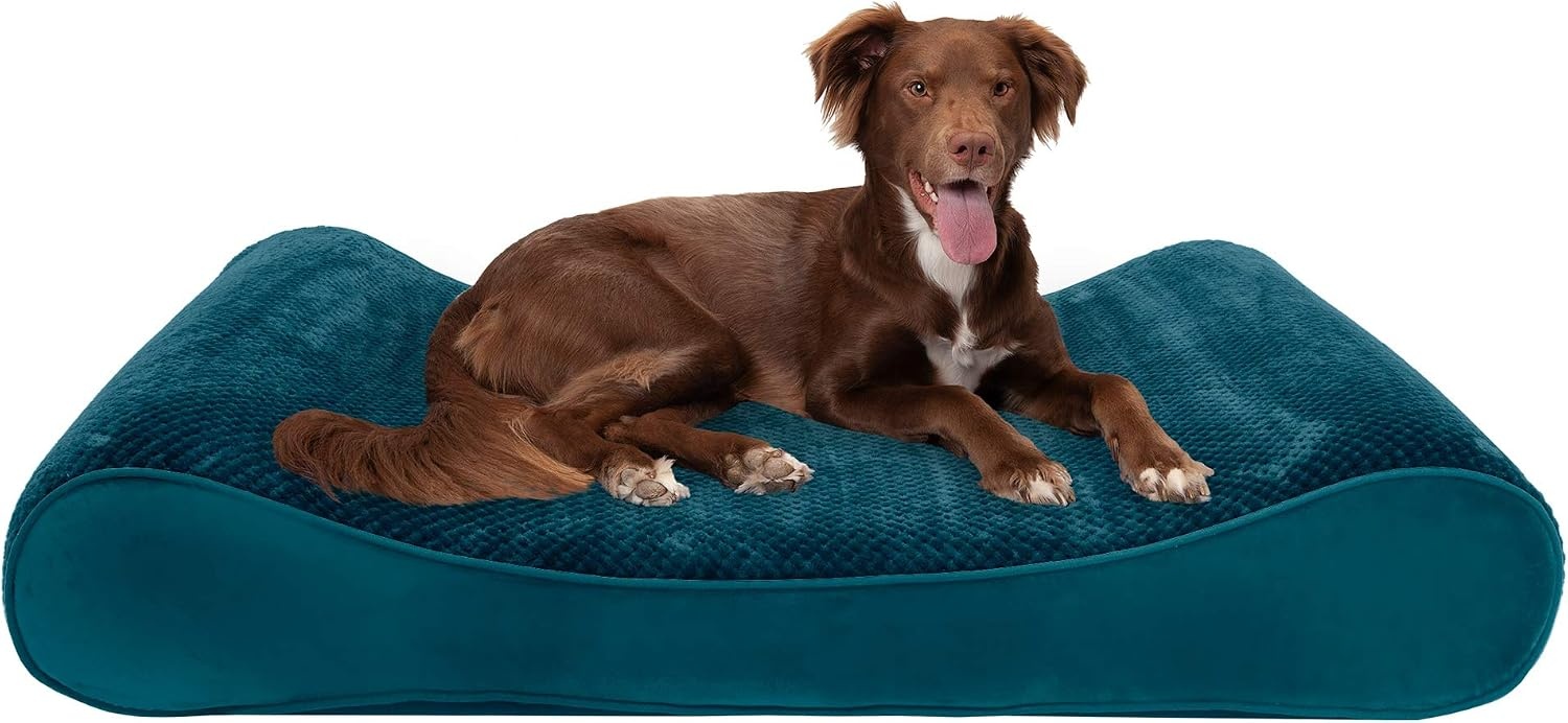 image:imageFurhaven Memory Foam Dog Bed for Large Dogs w Removable Washable Cover For Dogs Up to 75 lbs Ultra Plush Faux Fur amp Suede Luxe Lounger Contour Mattress Gray JumboXLSpruce Blue