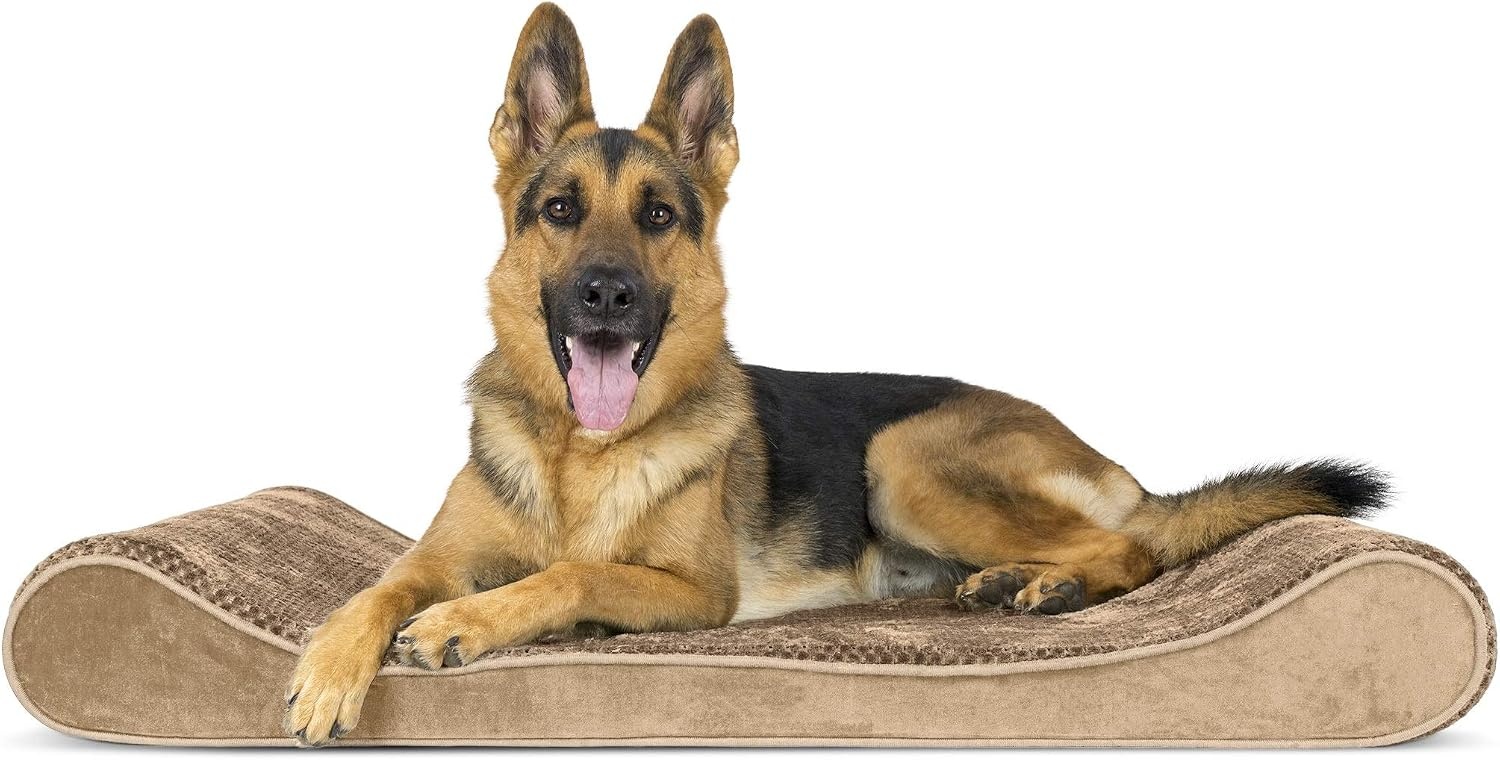 image:imageFurhaven Memory Foam Dog Bed for Large Dogs w Removable Washable Cover For Dogs Up to 75 lbs Ultra Plush Faux Fur amp Suede Luxe Lounger Contour Mattress Gray JumboXLCamel