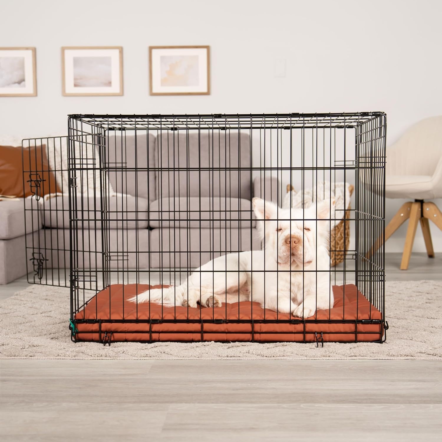 image:imageFurhaven Orthopedic Dog Bed Classic Cushion with Plush Tufted Top Supportive Foam Mattress Removable Washable Cover Joint Relief Gray LargeRust