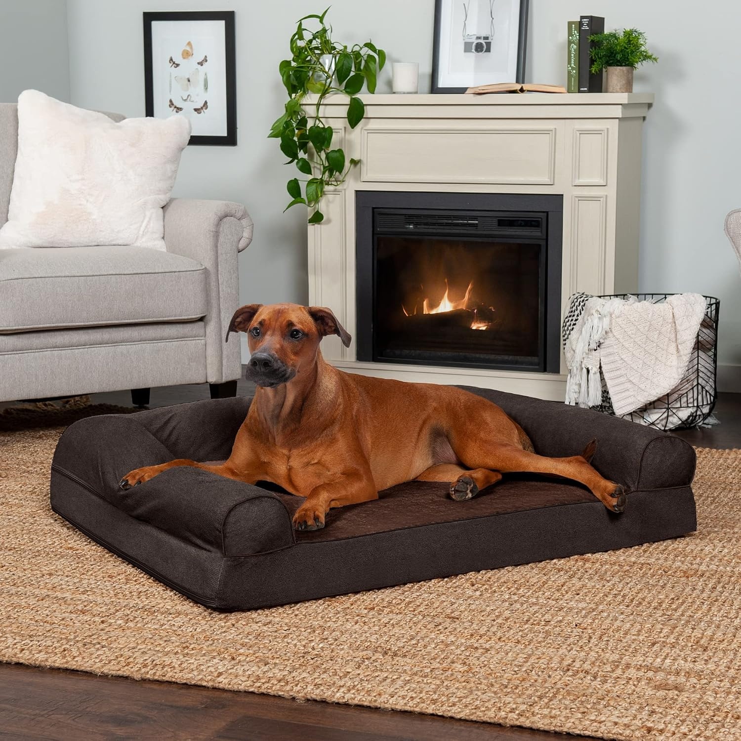 image:imageFurhaven Orthopedic Dog Bed for LargeMedium Dogs w Removable Bolsters amp Washable Cover For Dogs Up to 55 lbs Plush amp Suede Sofa Gray LargeCoffee