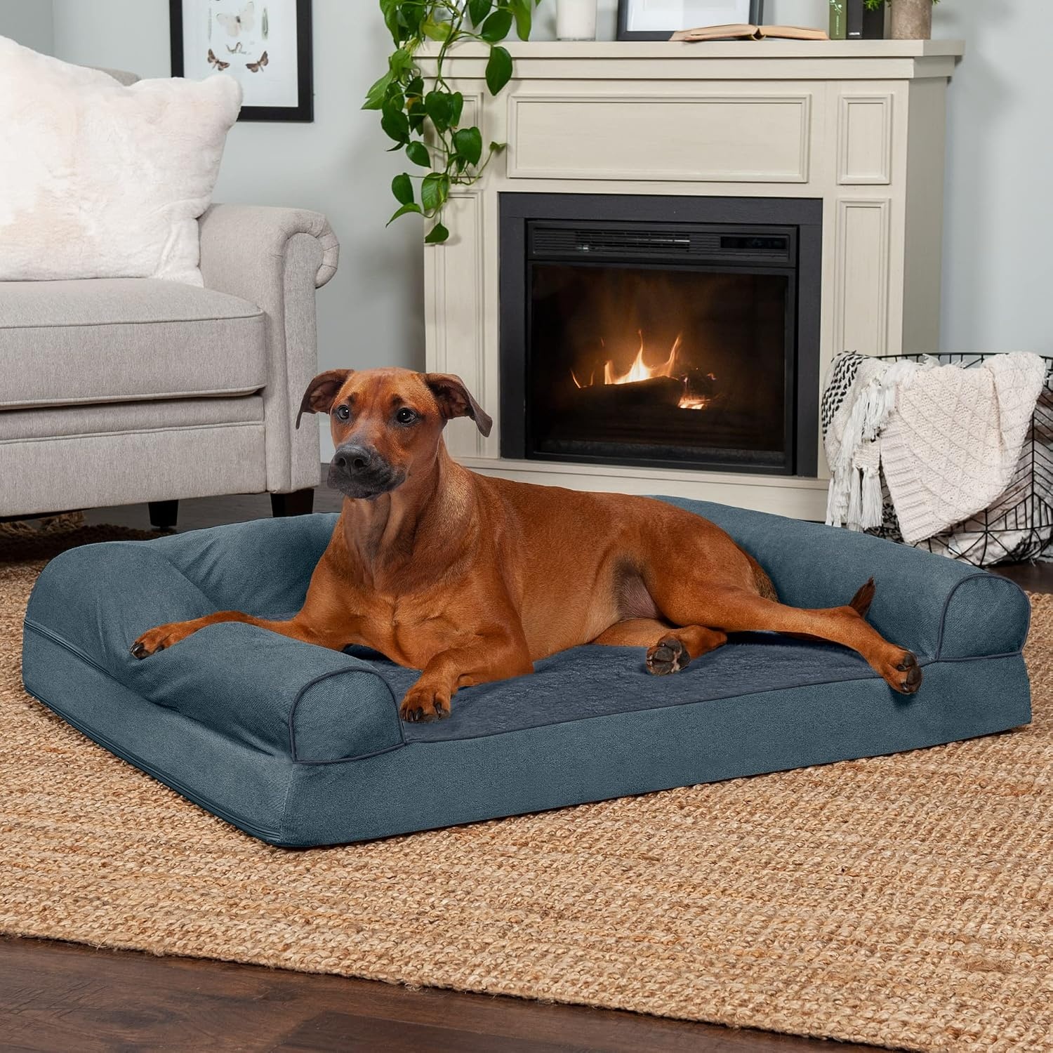 image:imageFurhaven Orthopedic Dog Bed for LargeMedium Dogs w Removable Bolsters amp Washable Cover For Dogs Up to 55 lbs Plush amp Suede Sofa Gray LargeOrion Blue