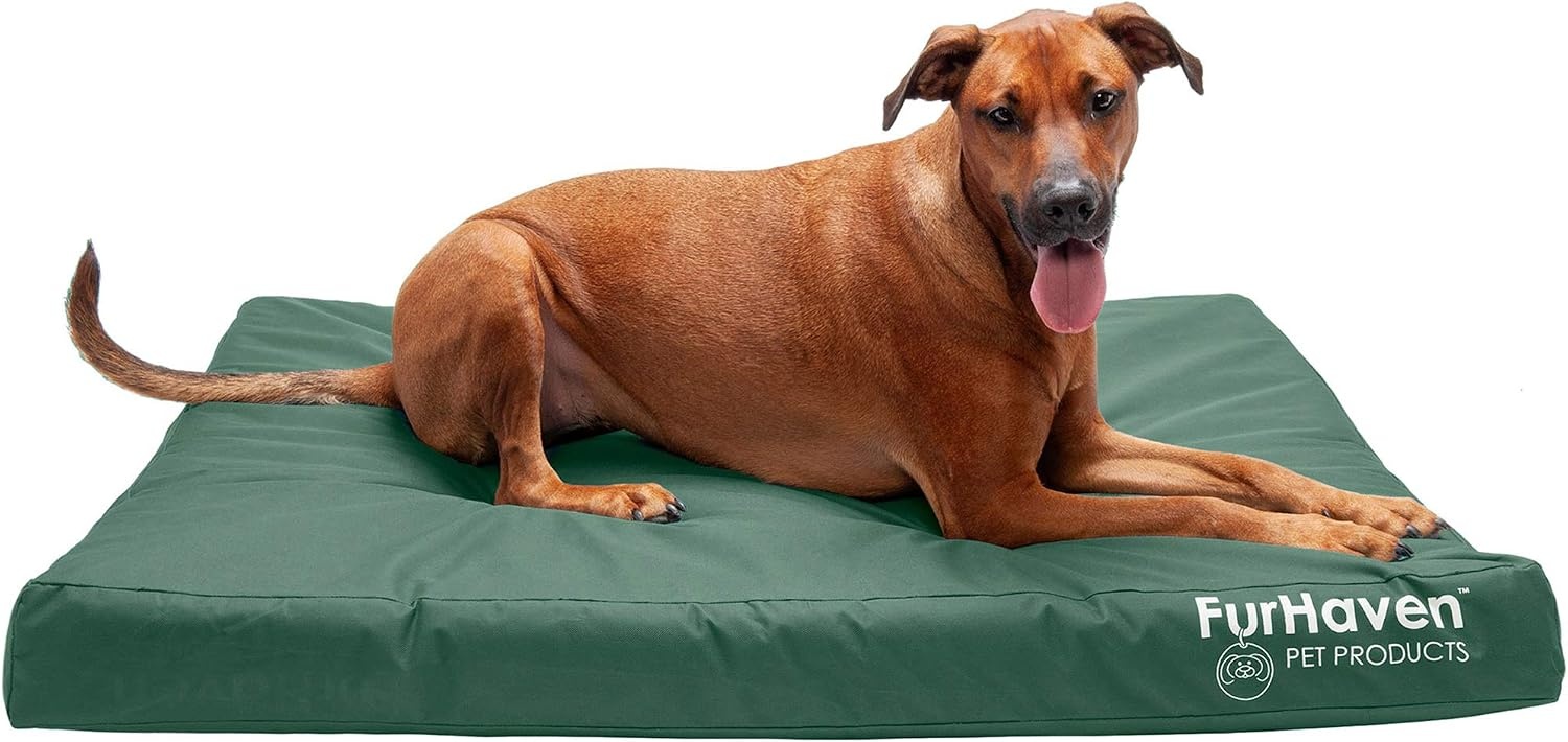 image:imageFurhaven WaterResistant Orthopedic Dog Bed for Large Dogs w Removable Washable Cover For Dogs Up to 95 lbs IndoorOutdoor Logo Print Oxford Polycanvas Mattress Stone Gray JumboXLWaterResistant Logo Print Forest