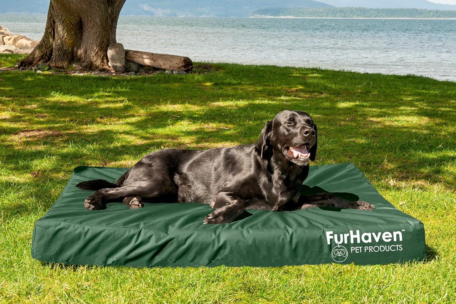 image:imageFurhaven WaterResistant Orthopedic Dog Bed for Large Dogs w Removable Washable Cover For Dogs Up to 95 lbs IndoorOutdoor Logo Print Oxford Polycanvas Mattress Stone Gray JumboXLWaterResistant Logo Print Forest