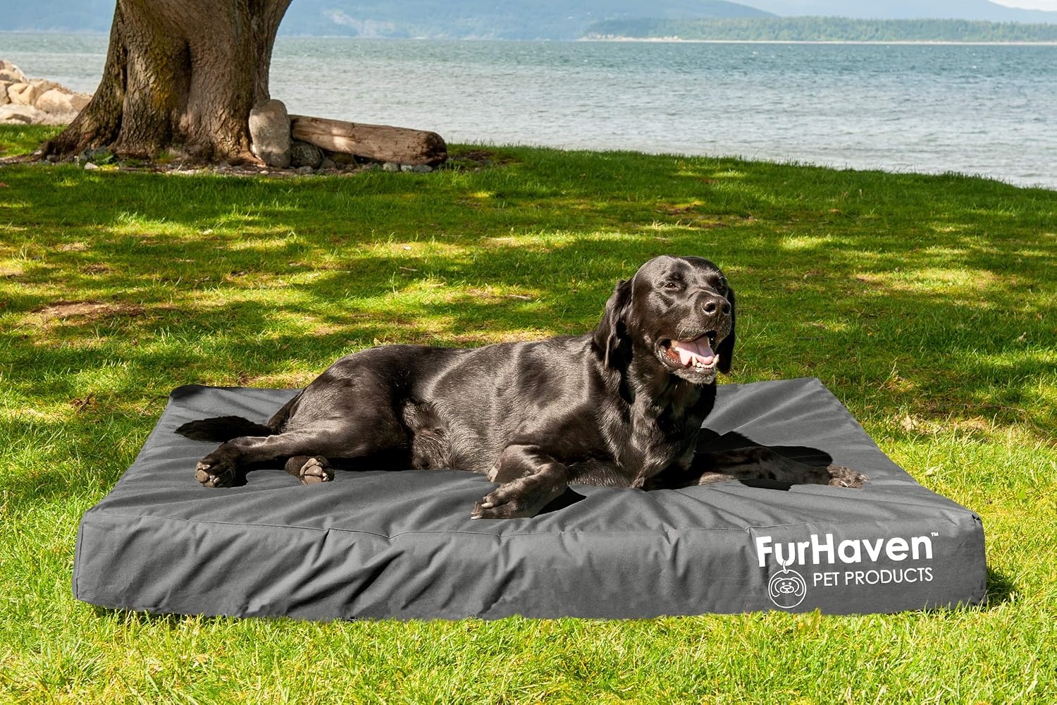 image:imageFurhaven WaterResistant Orthopedic Dog Bed for Large Dogs w Removable Washable Cover For Dogs Up to 95 lbs IndoorOutdoor Logo Print Oxford Polycanvas Mattress Stone Gray JumboXLWaterResistant Logo Print Stone Gray