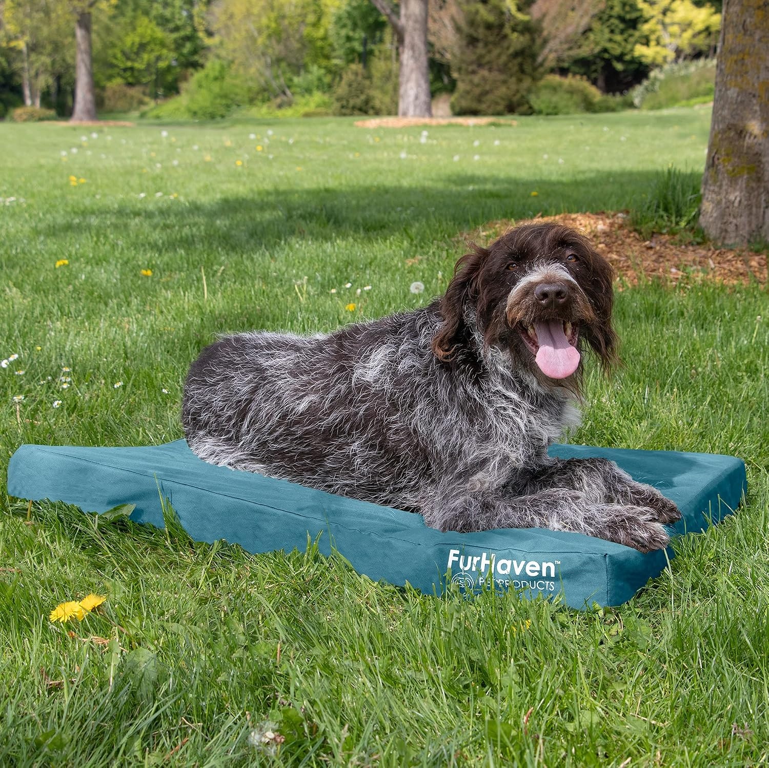 image:imageFurhaven WaterResistant Orthopedic Dog Bed for Large Dogs w Removable Washable Cover For Dogs Up to 95 lbs IndoorOutdoor Logo Print Oxford Polycanvas Mattress Stone Gray JumboXLWaterResistant Logo Print Deep Lagoon