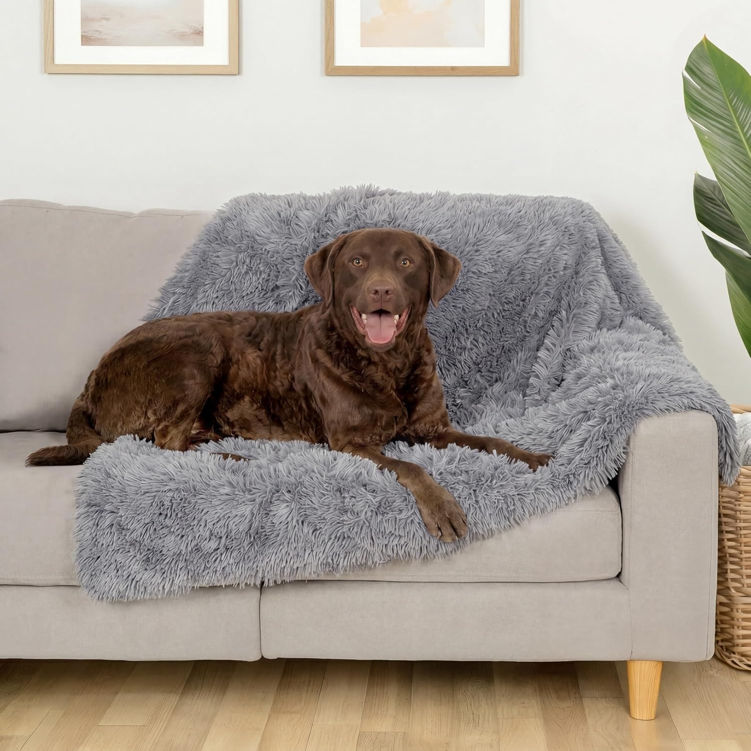 image:imageFurhaven Waterproof Throw Blanket for Dogs amp Indoor Cats Reversible Protective Pet Blanket Extra Large Long Faux Fur amp Velvet DriftwoodGray