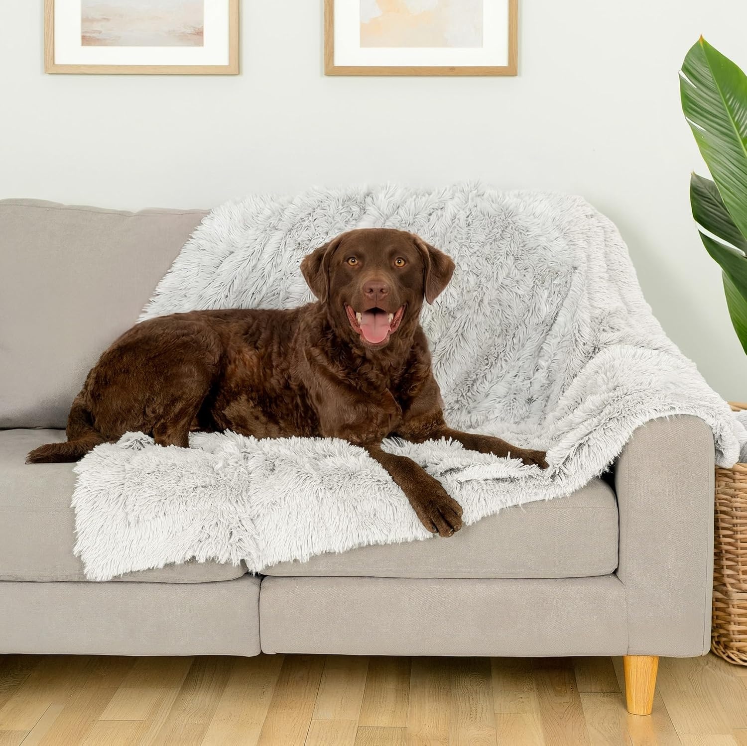 image:imageFurhaven Waterproof Throw Blanket for Dogs amp Indoor Cats Reversible Protective Pet Blanket Extra Large Long Faux Fur amp Velvet DriftwoodMist Gray
