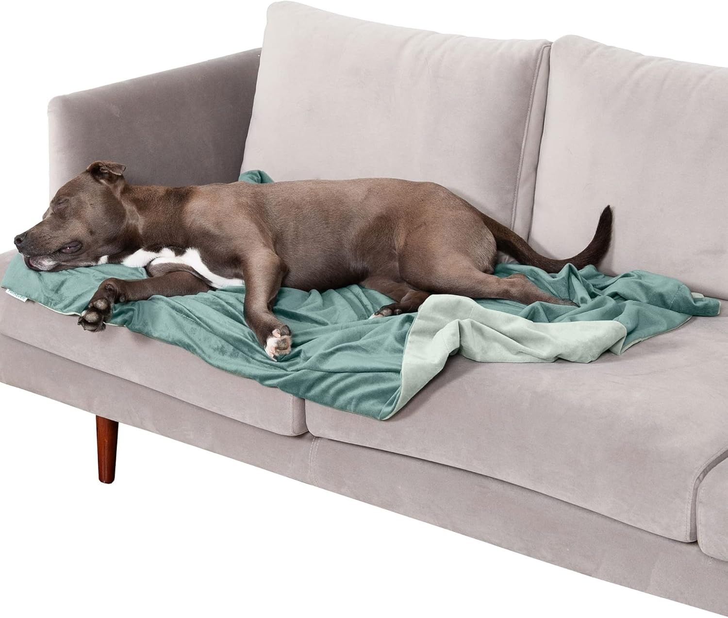 image:imageFurhaven Waterproof Throw Blanket for Dogs amp Indoor Cats Washable TwoTone Luxe Velvet Dog Blanket Celadon Green MediumCeladon Green