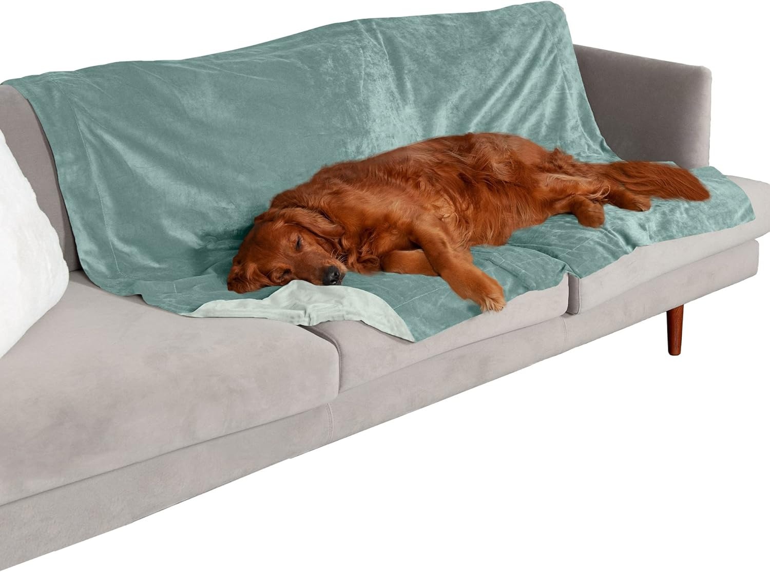 image:imageFurhaven Waterproof Throw Blanket for Dogs amp Indoor Cats Washable TwoTone Luxe Velvet Dog Blanket Celadon Green MediumCeladon Green