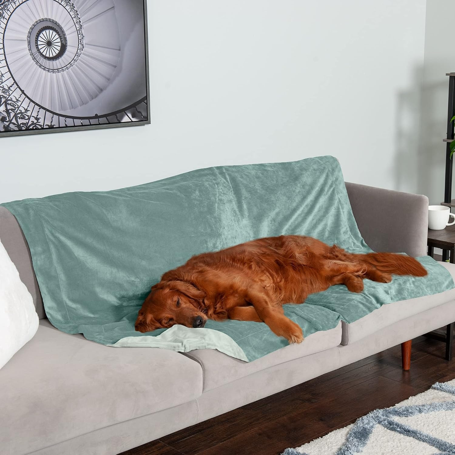 image:imageFurhaven Waterproof Throw Blanket for Dogs amp Indoor Cats Washable TwoTone Luxe Velvet Dog Blanket Celadon Green MediumCeladon Green