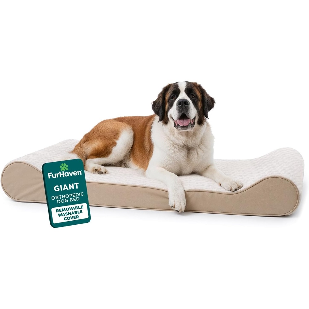 image:imageFurhaven Orthopedic Dog Bed for Large Dogs w Removable Washable Cover For Dogs Up to 150 lbs Ultra Plush Faux Fur amp Suede Luxe Lounger Contour Mattress Gray Jumbo PlusXXLCream