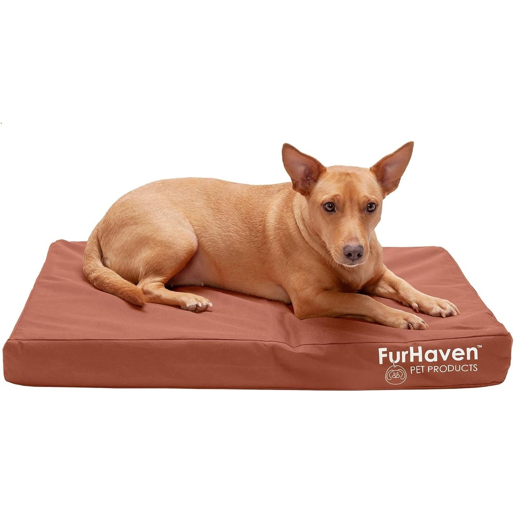 image:imageFurhaven WaterResistant Orthopedic Dog Bed for Large Dogs w Removable Washable Cover For Dogs Up to 95 lbs IndoorOutdoor Logo Print Oxford Polycanvas Mattress Stone Gray JumboXLWaterResistant Logo Print Chestnut