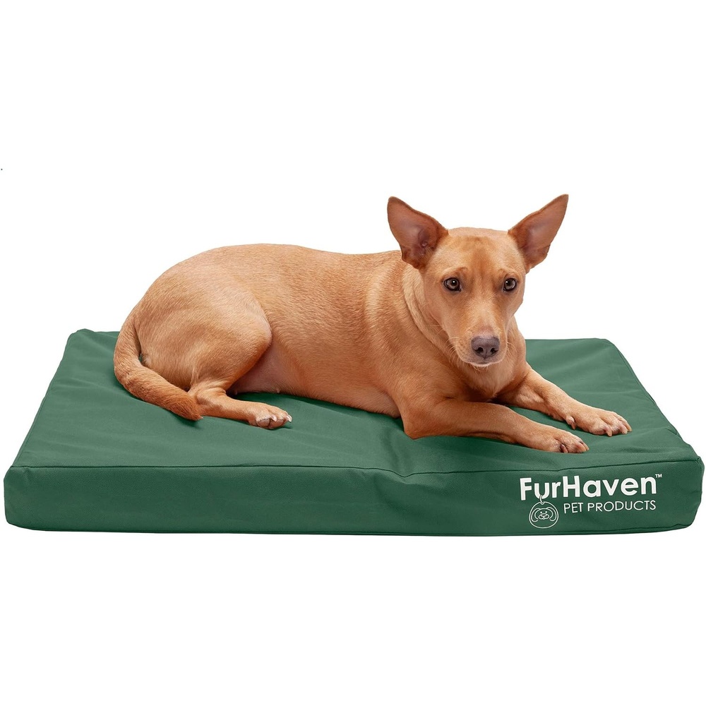 image:imageFurhaven WaterResistant Orthopedic Dog Bed for Large Dogs w Removable Washable Cover For Dogs Up to 95 lbs IndoorOutdoor Logo Print Oxford Polycanvas Mattress Stone Gray JumboXLWaterResistant Logo Print Forest