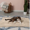 FurHaven ThermaNAP Faux Fur Self-Warming Mat, Brown Leopard, Large(크림)