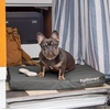FurHaven Water-Resistant Orthopedic Dog Bed for Large Dogs, Oxford Polycanvas Mattress with Orthopedic Solid Slab Foam for Joint Support, Removable Washable Cover, Jumbo XL, Stone Gray(Stone Gray)