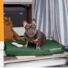 FurHaven Water-Resistant Orthopedic Dog Bed for Large Dogs, Oxford Polycanvas Mattress with Orthopedic Solid Slab Foam for Joint Support, Removable Washable Cover, Jumbo XL, Stone Gray(Forest)