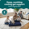 Furhaven Cooling Gel Dog Bed for Large Dogs w/ Removable Bolsters & Washable Cover, For Dogs Up to 125 lbs – Two-Tone Plush Faux Fur & Suede L Shaped Chaise – Espresso, Jumbo Plus/XXL((Plush & Velvet) Deep Sapphire)