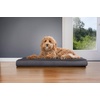 Furhaven Orthopedic Dog Bed – Classic Cushion with Plush Tufted Top, Supportive Foam Mattress, Removable Washable Cover, Joint Relief – Gray, Large(Gray)