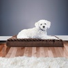 Furhaven Orthopedic Dog Bed – Classic Cushion with Plush Tufted Top, Supportive Foam Mattress, Removable Washable Cover, Joint Relief – Gray, Large(Minky Chocolate)