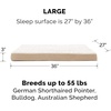 Furhaven Orthopedic Dog Bed – Classic Cushion with Plush Tufted Top, Supportive Foam Mattress, Removable Washable Cover, Joint Relief – Gray, Large(Minky Cream)