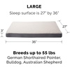 Furhaven Orthopedic Dog Bed – Classic Cushion with Plush Tufted Top, Supportive Foam Mattress, Removable Washable Cover, Joint Relief – Gray, Large(Pewter)
