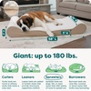 Furhaven Orthopedic Dog Bed for Large Dogs w/ Removable Washable Cover, For Dogs Up to 150 lbs – Ultra Plush Faux Fur & Suede Luxe Lounger Contour Mattress – Gray, Jumbo Plus/XXL(Cream)