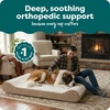 Furhaven Orthopedic Dog Bed for Large Dogs w/ Removable Washable Cover, For Dogs Up to 150 lbs – Ultra Plush Faux Fur & Suede Luxe Lounger Contour Mattress – Gray, Jumbo Plus/XXL(Cream)