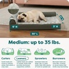 Furhaven Orthopedic Dog Bed for Medium/Small Dogs w/ Removable Bolsters & Washable Cover, For Dogs Up to 35 lbs – Two-Tone Plush Faux Fur & Suede L Shaped Chaise – Dark Sage, Medium(Dark Sage)
