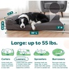 Furhaven Orthopedic Dog Bed for Medium/Small Dogs w/ Removable Bolsters & Washable Cover, For Dogs Up to 35 lbs – Two-Tone Plush Faux Fur & Suede L Shaped Chaise – Dark Sage, Medium(Platinum Gray)